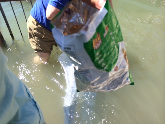 069A115C-543D-426D-9ED4-E366012D0C40