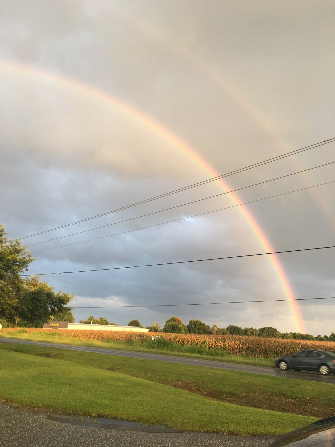 4378CE69-38FD-4E6F-B53E-9483E551AF3E